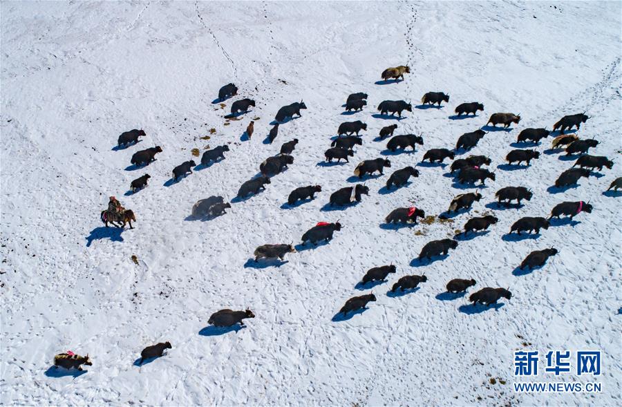 ?? ????? ??? ???? ?? ?? ??. [3? 1? ?? ??/?? ??: ???]