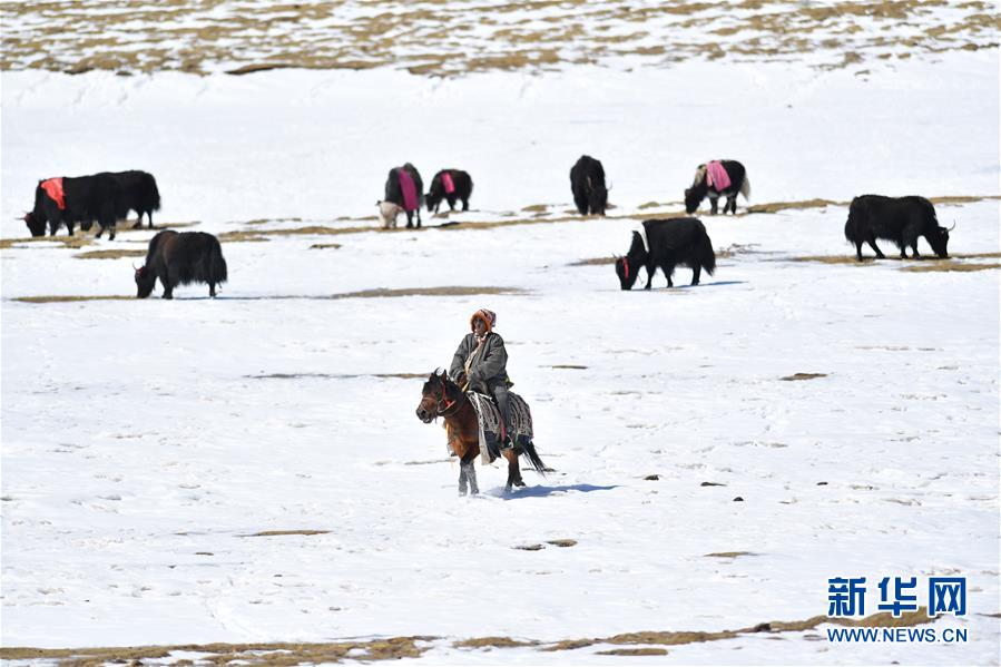 ?? ????? ??? ???? ?? ?? ??. [3? 1? ??/?? ??: ???]