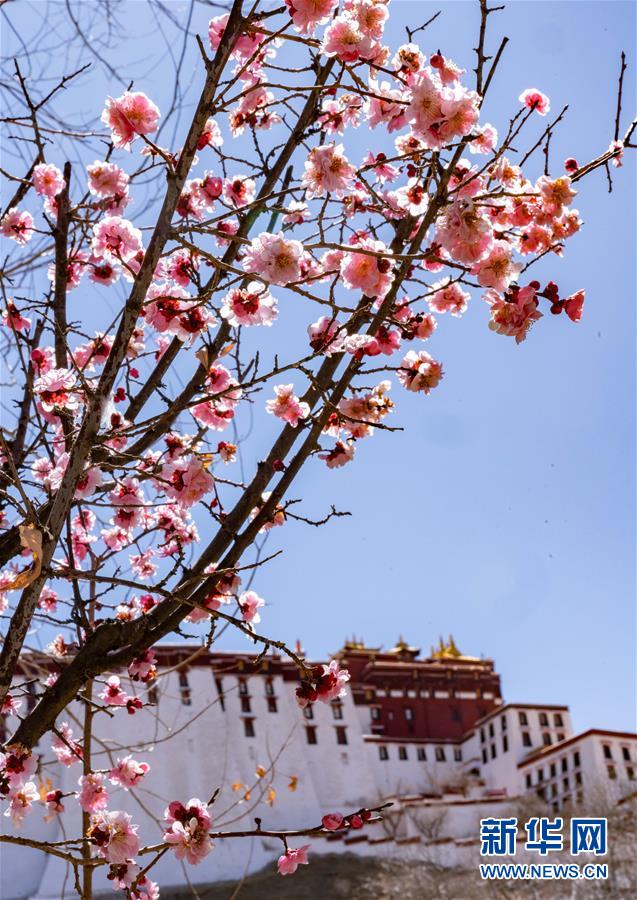 ?????? ??? ????(布達拉宮, ????) [3? 10? ??/?? ??: ???]