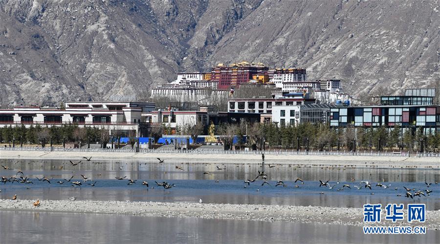 ???(拉薩河)? ?? ???? ? [3? 10? ??/?? ??: ???]