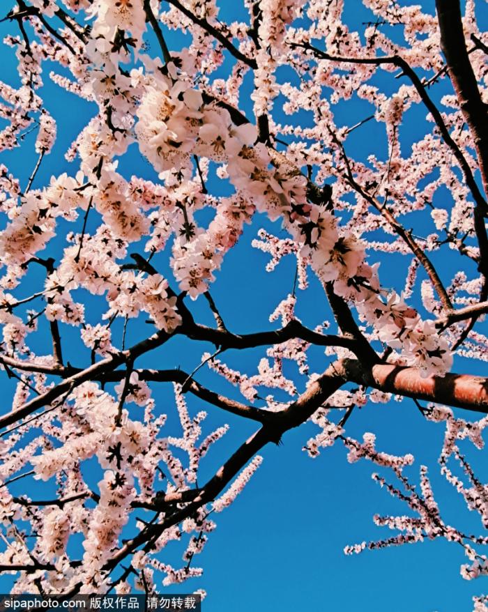 ?? ?? ??? ??…???, ?? ??? ??