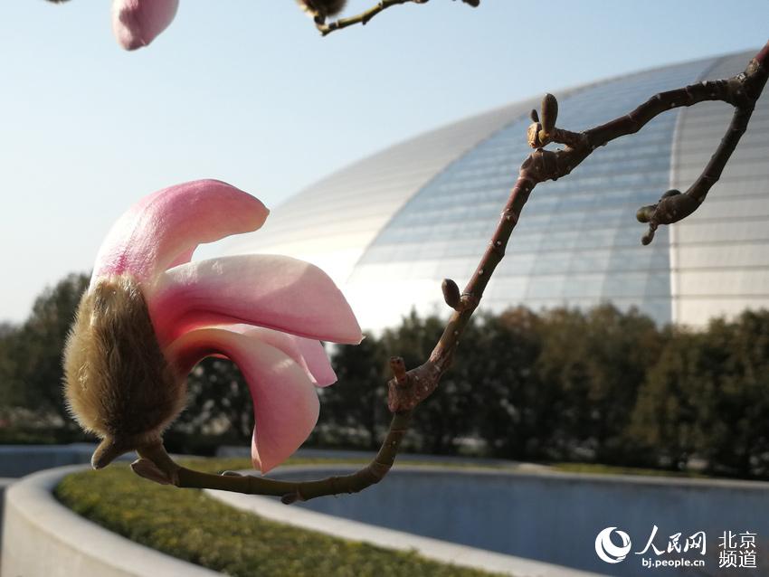 ??? ??? ?????? ?? ??? ???? ??? ???. [?? ??: ???] 