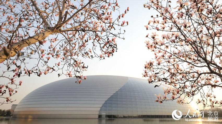 ??? ??? ?????? ?? ??? ???? ??? ???. [?? ??: ???] 