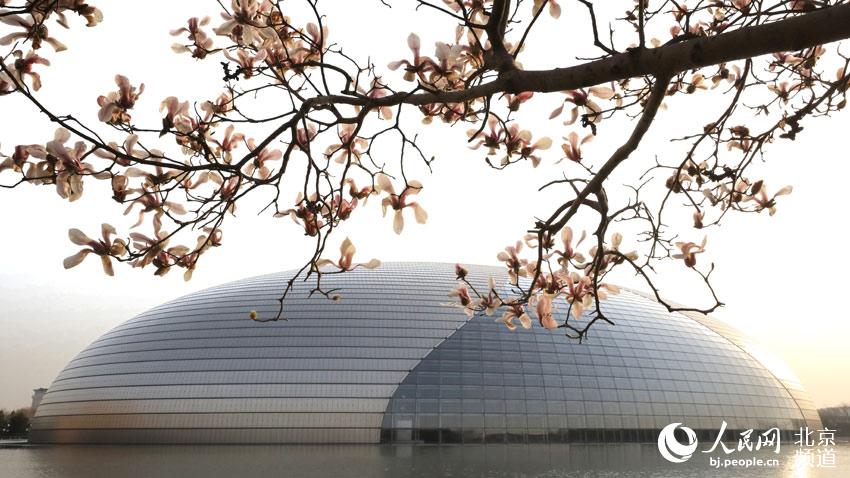 ??? ??? ?????? ?? ??? ???? ??? ???. [?? ??: ???] 