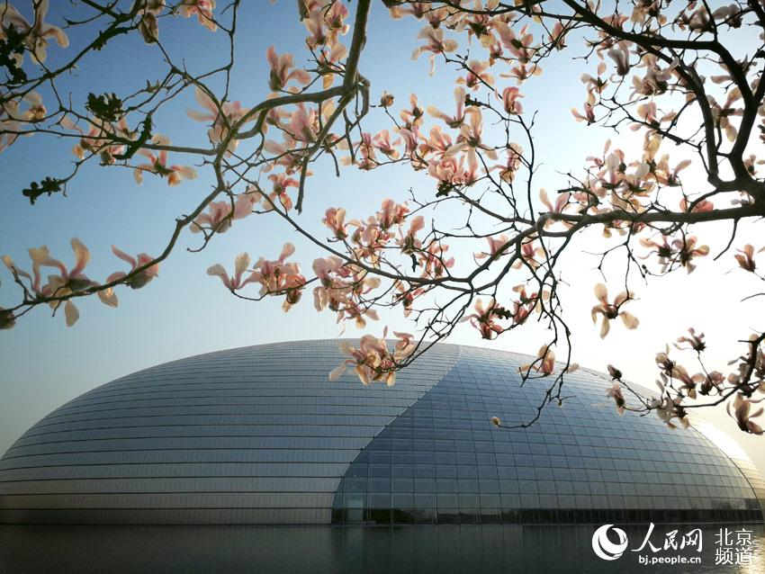 ??? ??? ?????? ?? ??? ???? ??? ???. [?? ??: ???] 