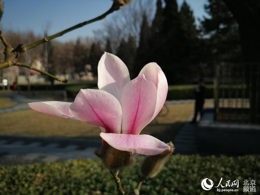 ???  ?? ?? ??? ??? ???? ?? ???. [?? ??: ???] 