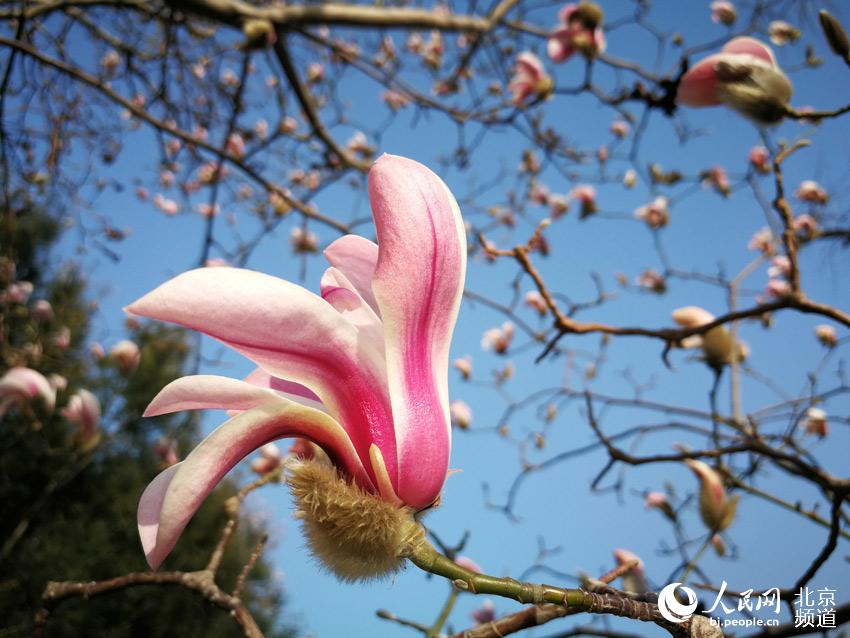 ??? ?? ??? ??? ???? ?? ???. [?? ??: ???] 