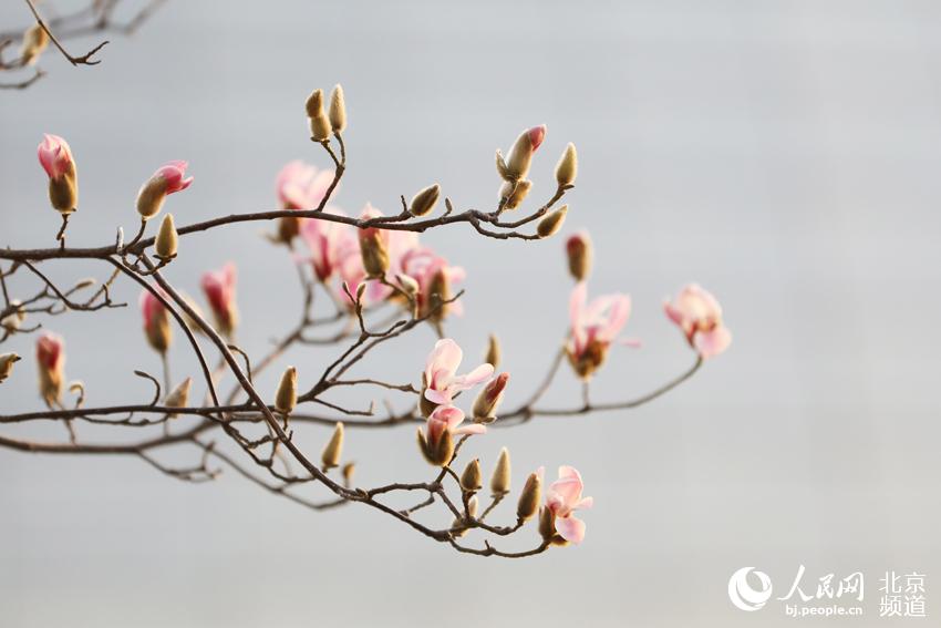 ??? ?? ??? ??? ???? ?? ???. [?? ??: ???] 