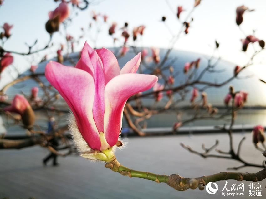 ??? ?? ??? ??? ???? ?? ???. [?? ??: ???] 