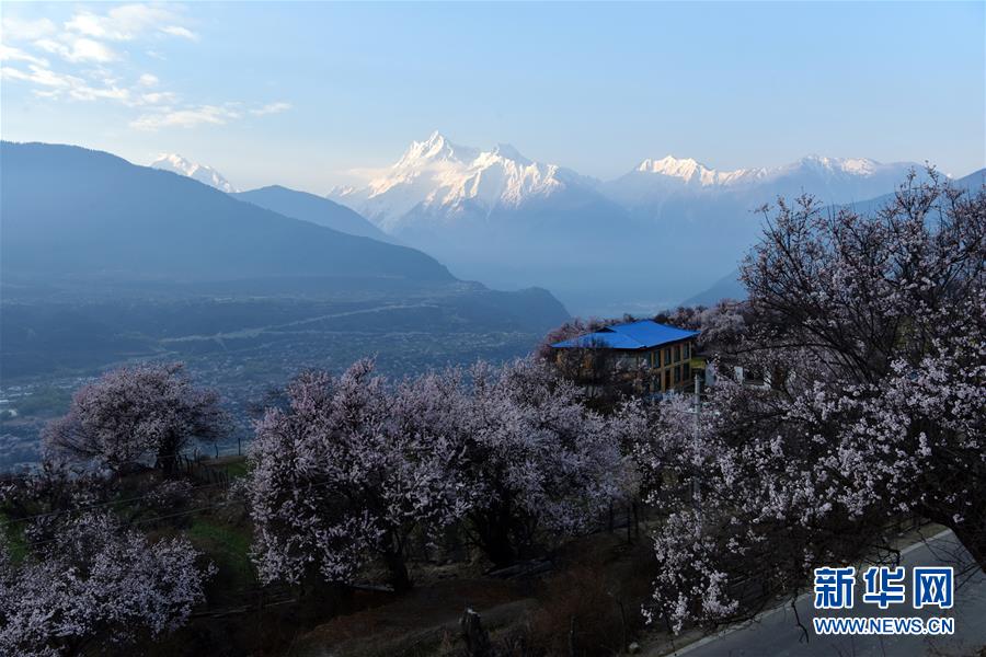 ??(林芝)? ??(米林)? ??(派)? ??(索松)?? ??? ?? ?? ??. [4? 1? ??/?? ??: ???]