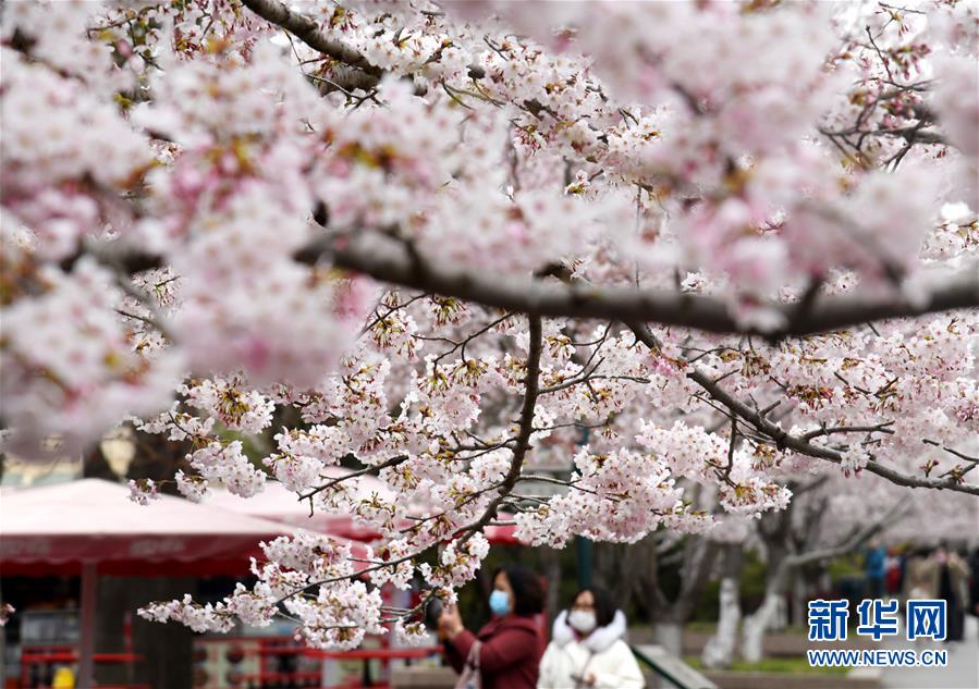 ??? ???? ?? ??? ?? ???? ????? ???. [4? 9? ??/?? ??: ???]