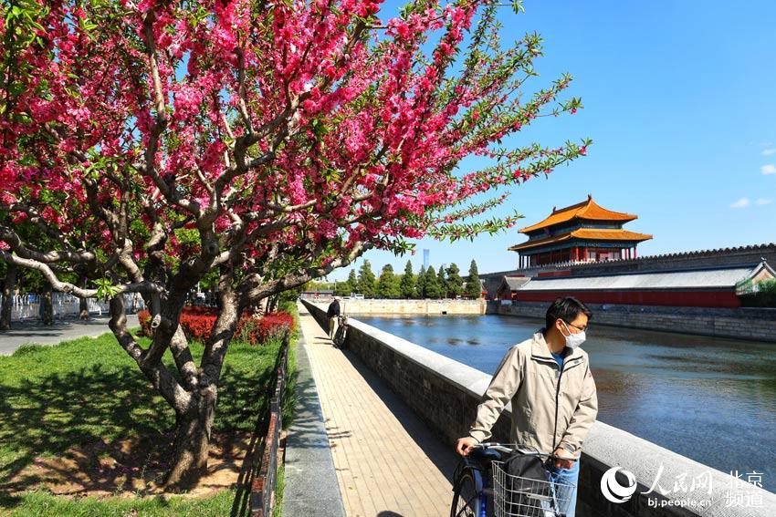 ??? ?? ??? ???? ??. [?? ??: ???]