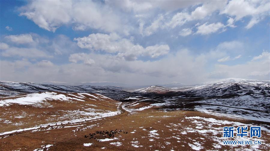 ??? ?? ?? [4? 25? ?? ??/?? ??: ???]