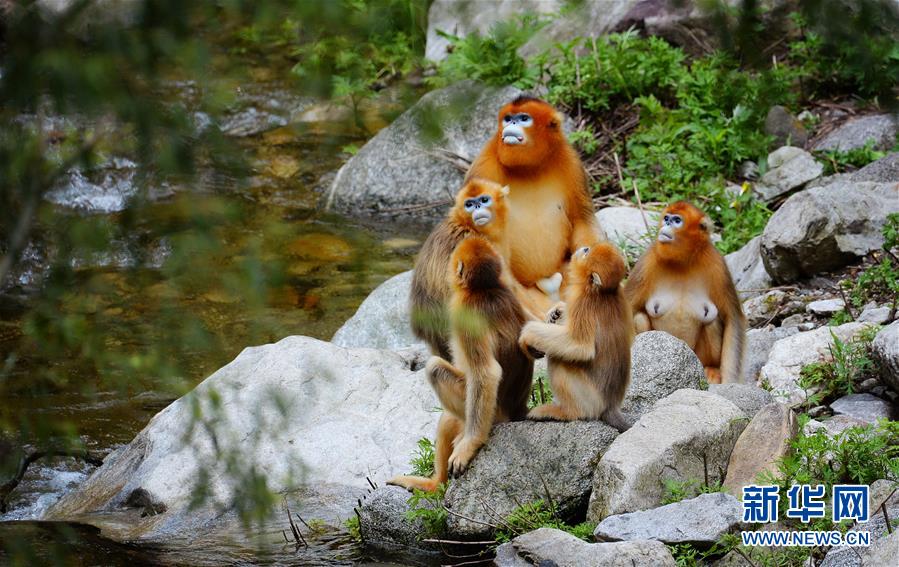 ?? ??? ?????? ??? ?? ???[2018? 3? 7? ??/?? ??: ???]