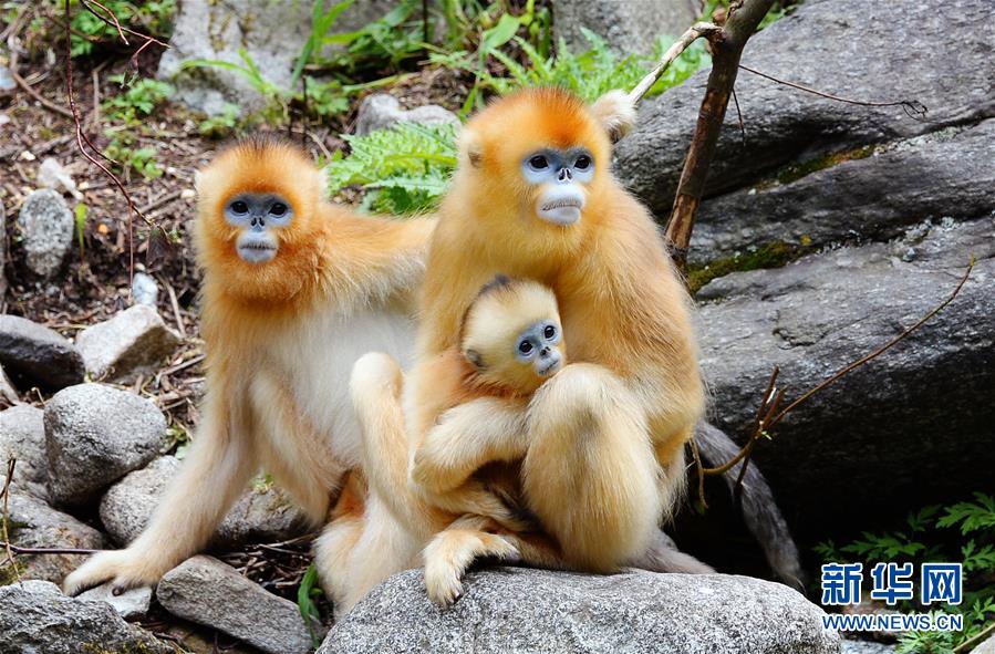 ?? ??? ?????? ??? ?? ???[2018? 3? 7? ??/?? ??: ???]