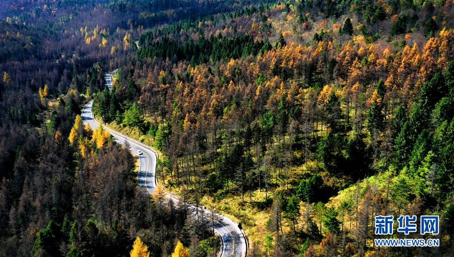 ?? ??-??(寧陜) ?? ?? ?? [2019? 10? 18? ?? ??/?? ??: ???]