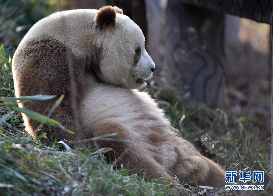 ?????? ???(七仔)? ??? ????? ?? ?????? ???????? ???? ??. [2019? 12? 3? ??/?? ??: ???]