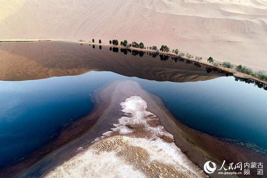 ???? ?? [?? ??/?? ??: ???]