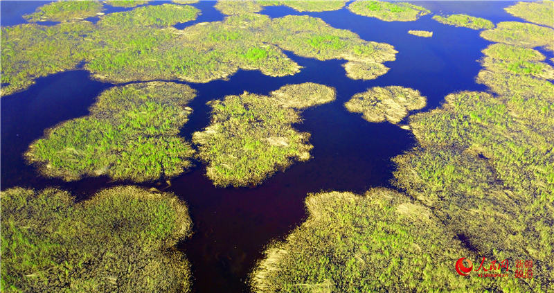 ?? ????? ?? ??? ?? [?? ??: ???]