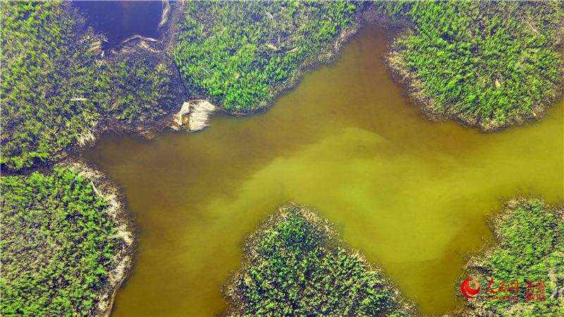 ?? ????? ?? ??? ?? [?? ??: ???]