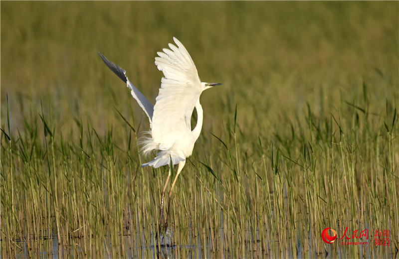 ?? ????? ?? ??? ?? [?? ??: ???]