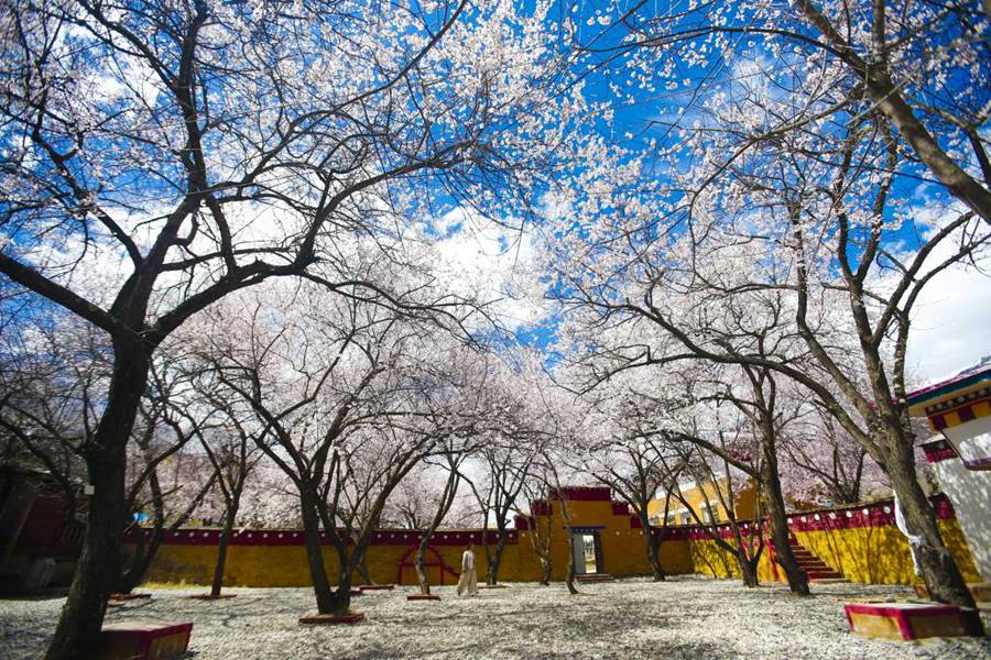 ?? ??? ?? 3?? ?? ?? ?? ? ?? ???? ??? ??. [?? ??: ????/??: ????(陸文凱)]