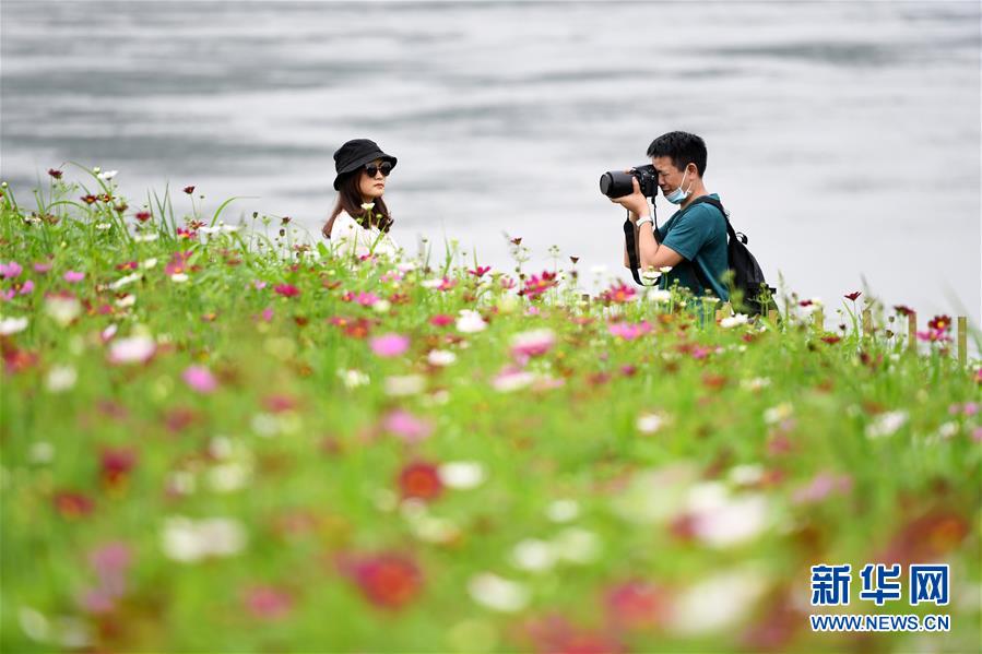 ???? ??? ??? ??? ??? ???? ???? ?? ??? ?? ??? ?? ??. [5? 20? ??/?? ??: ???]