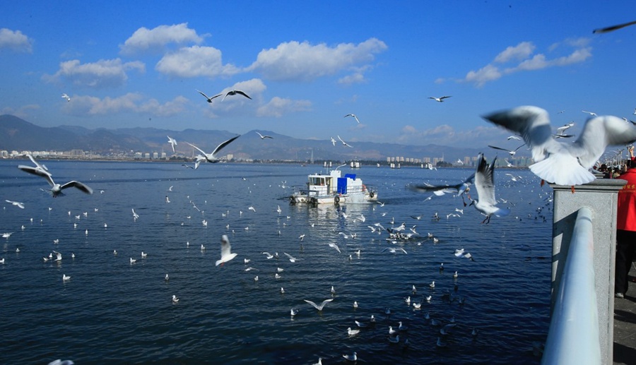 2019? 1? 19?, ?????? ?? ?? ??? ?? ? ?? ?? ?? ???? 11? ???? ??? ??? ?? ???? ????? ???? ??. [?? ??: ????/??: ????(朱文標)] 