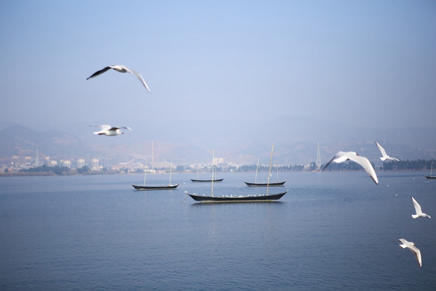 2017? 3? 8? ?? ?? ???? ?? ???? ??? ?? ??. [?? ??: ????/??: 李發興)]