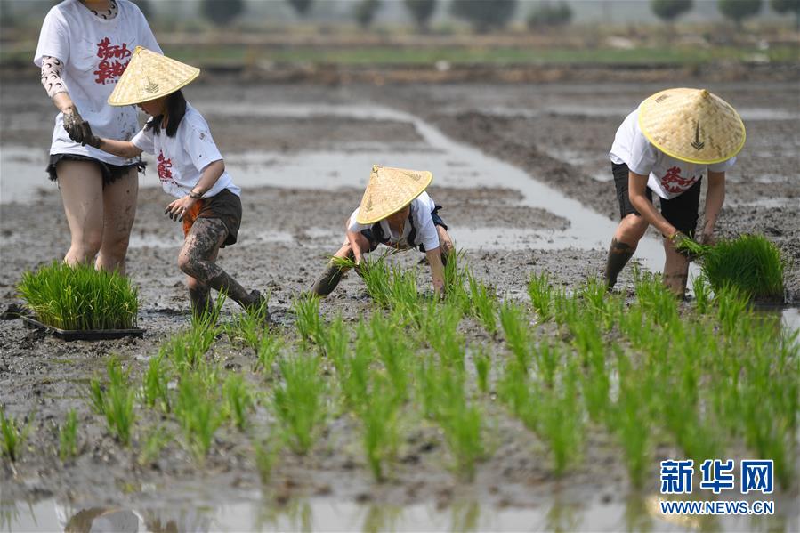 ?? ???, ??? ??? ?? ?? ??