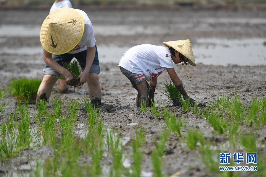 ???? ????? ?? ??? ??? ???. [5? 24? ??/?? ??: ???]