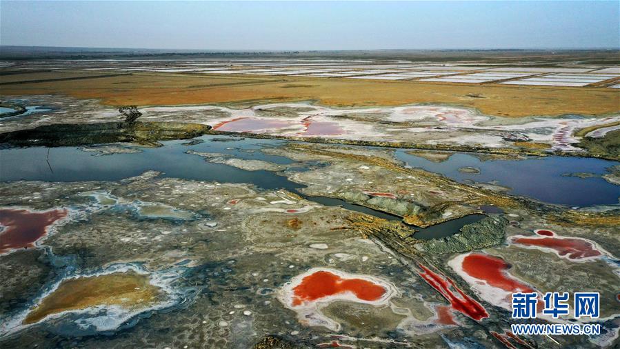 ?? ?? ???? ? ?? ? ????? ???(茍湖)? [5? 31? ?? ??/?? ??: ???]