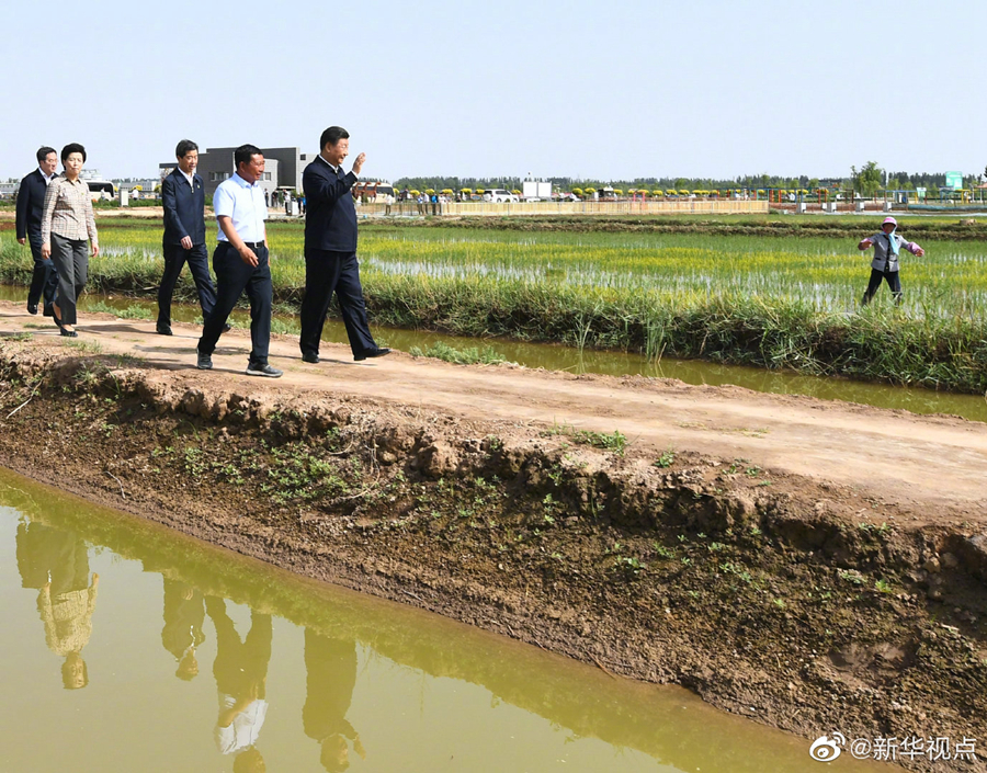 [?? ??: ??? ‘????’ ???]