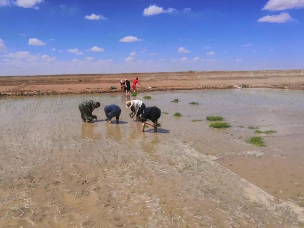 ???? ???, ???? ??? ?? ?? ??