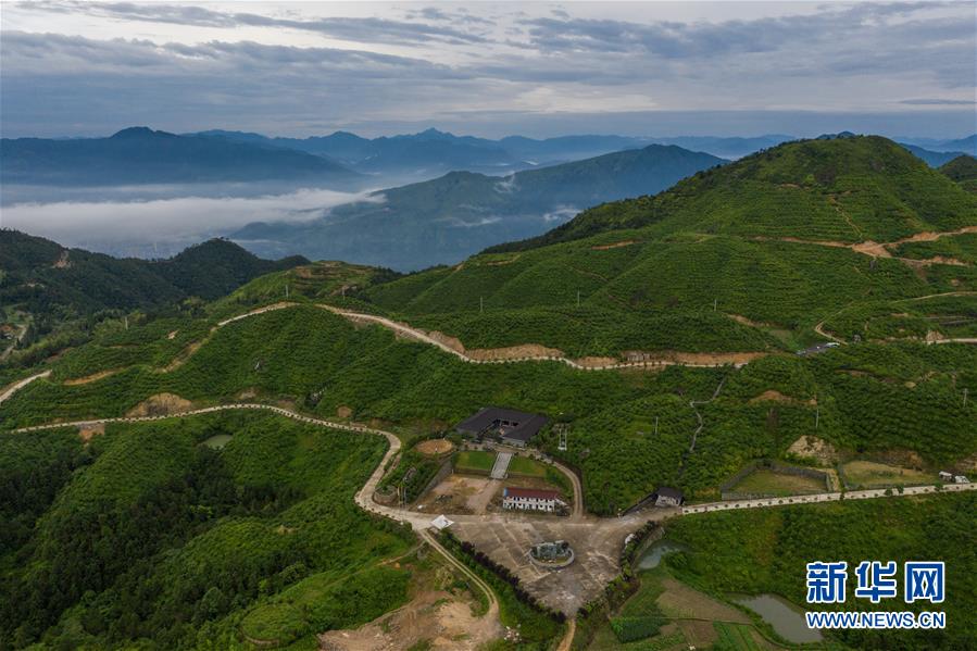 ????? ‘????(尖山雲莊)’ ?? [6? 11? ?? ??/?? ??: ???]