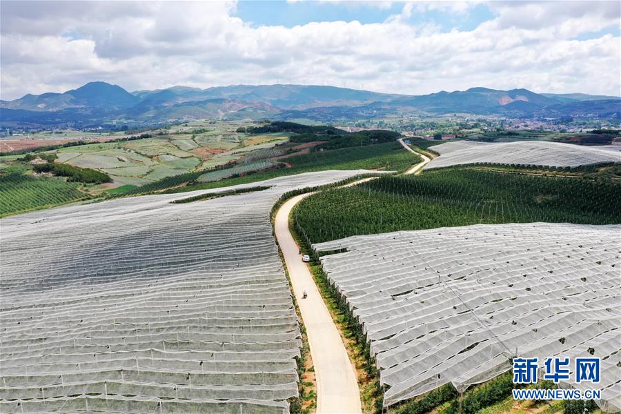 ???? ???? ??? ?? ??? [6? 11? ?? ??/?? ??: ???]