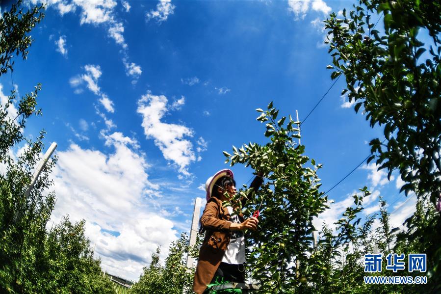 ???? ???? ??? ?? ?? ?? ??