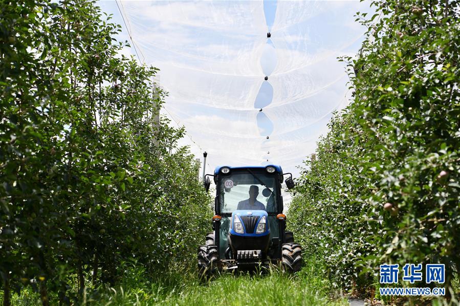 ??? ???? ??? ?? ????? ???? ???? ?? ???. [6? 11? ??/?? ??: ???]