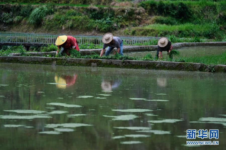 ?????? ???? ?????? ??? ???. [6? 11? ??/?? ??: ???]