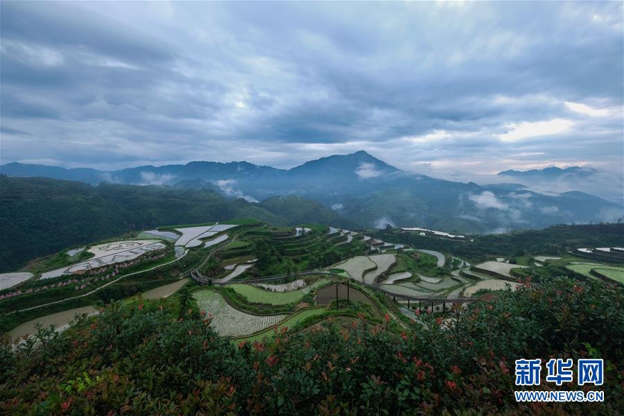 ??????? ???? [6? 11? ??/?? ??: ???]