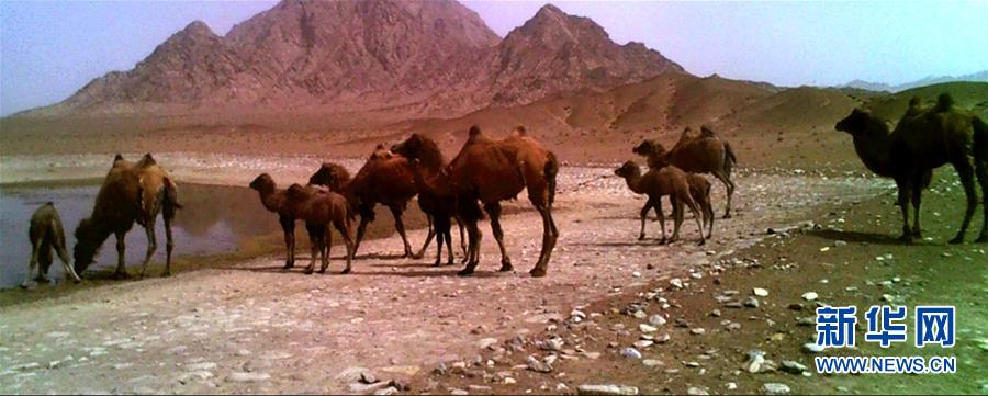 ??? ???? ?? ??? ???? ??? ???????? ??? ??? ???? ?? ?? ?? [5? 14? ??/?? ??: ???]