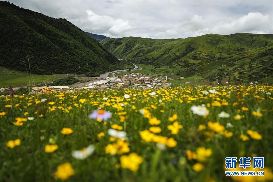 ?? ??? ???? ??? ?? [6? 15? ??/?? ??: ???]