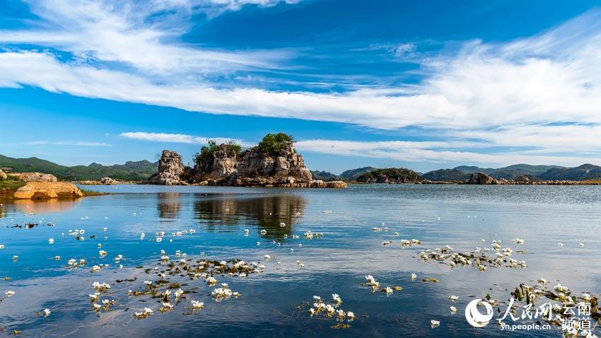 ?? ?????? ???? ??? [?? ??: ???]