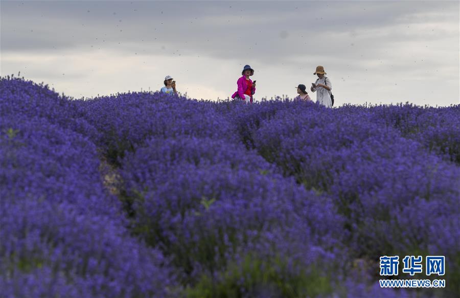 ??? ??? ??? ?? ??? [6? 16? ??/?? ??: ???]