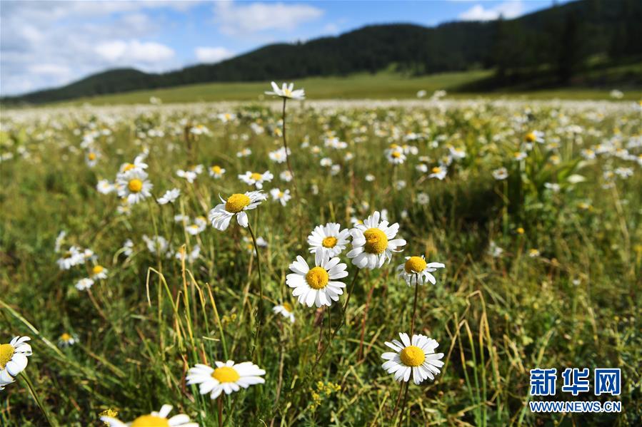 ?? ???? ?? ????? ?? ?? [6? 21? ??/?? ??: ???]