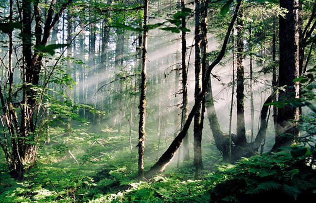 ???? ?? ?? [?? ??: ???? ?????????]