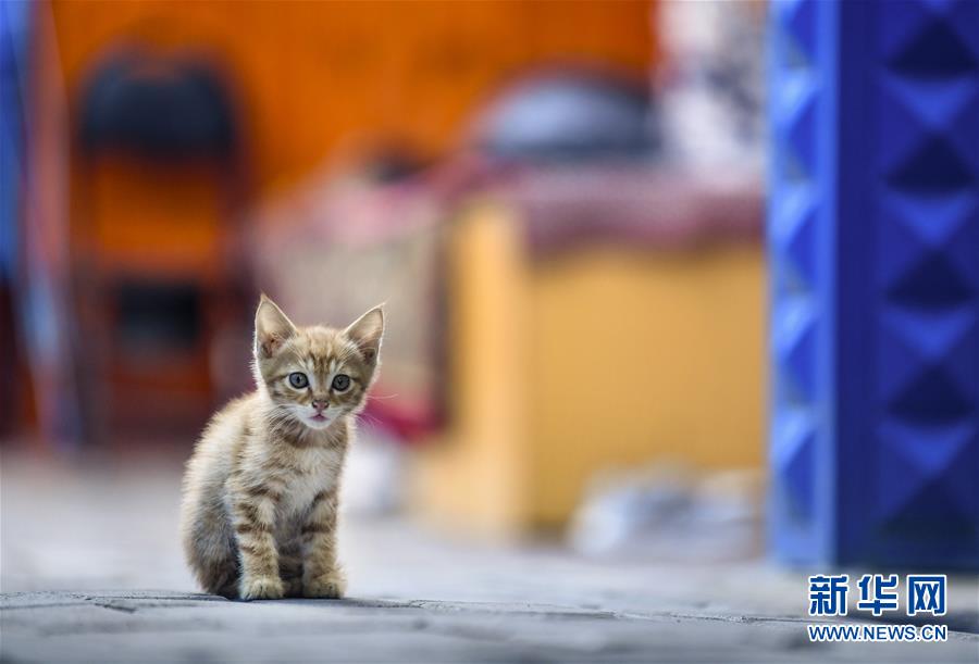 ???? ??? ? ???? ?? ???? ??. [7? 4? ??/?? ??: ???]