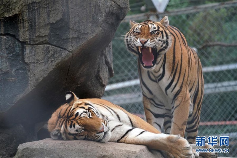 ????????? ????? ?? ??. [7? 29? ??/?? ??: ???]