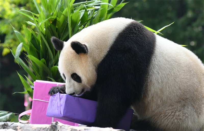 ?????? ‘??’? ??? ?? ?? ??? ?? ??? ??? ??? ?? ??. 