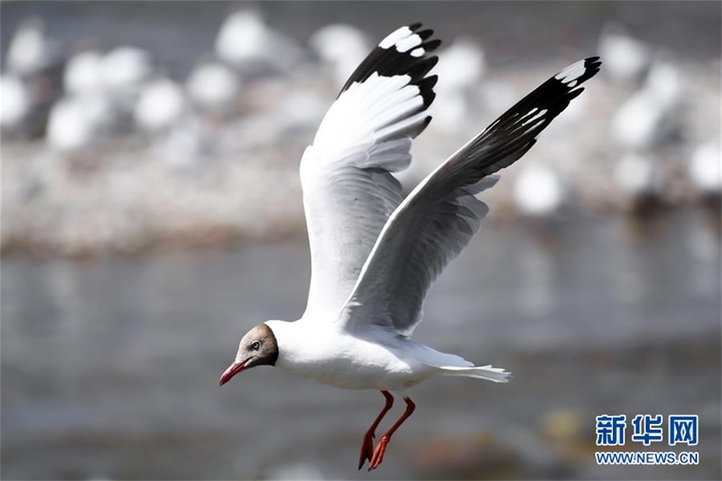 ???????? ? ?? ?????. [7? 29? ??/?? ??: ???]